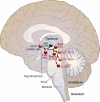 Fig. (2)