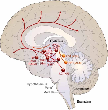 Fig. (1)