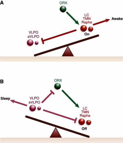 Fig. (3)