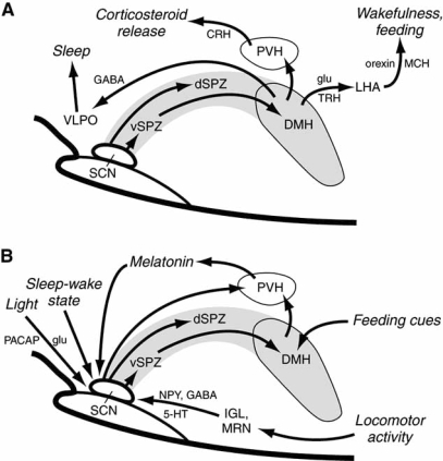 Fig. (4)