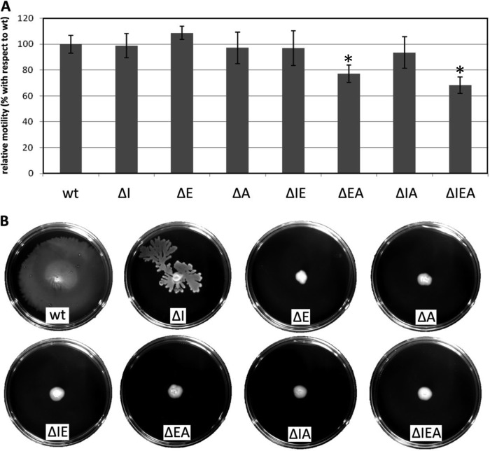 FIG 1