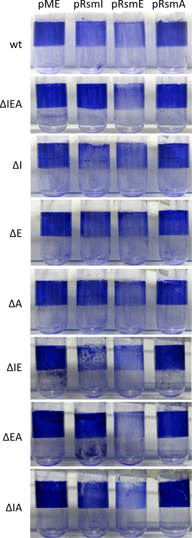 FIG 5