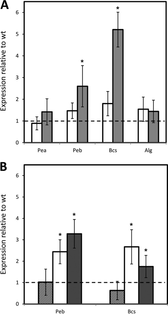 FIG 6