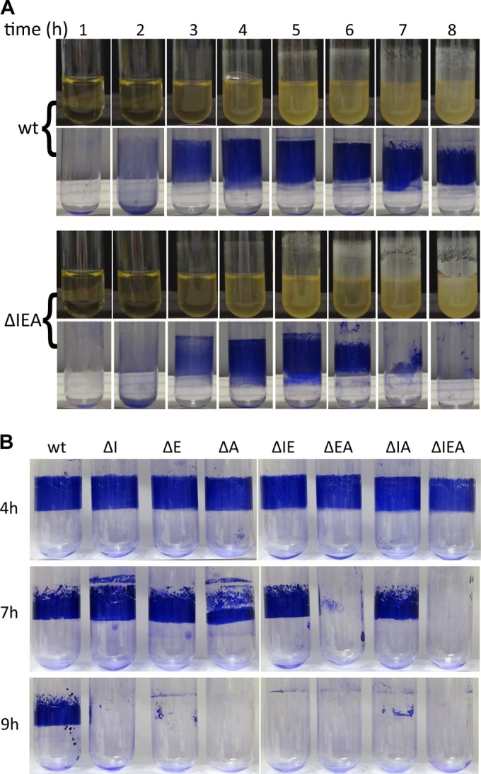 FIG 3