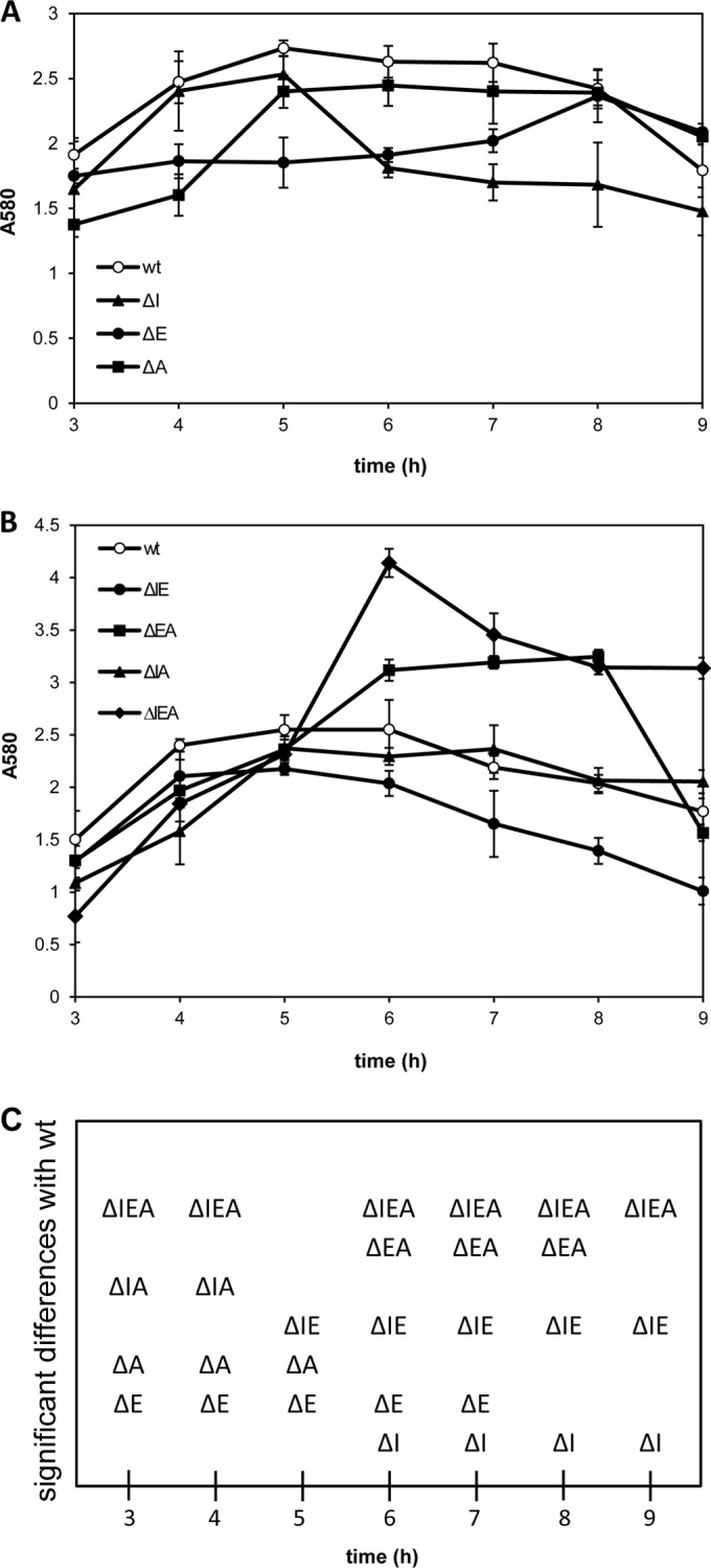 FIG 2