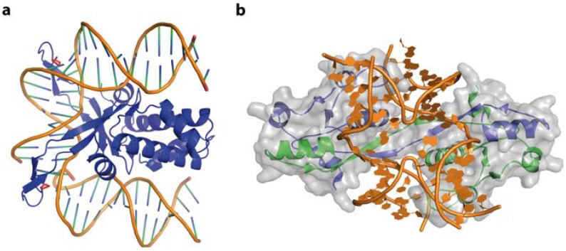 Figure 12