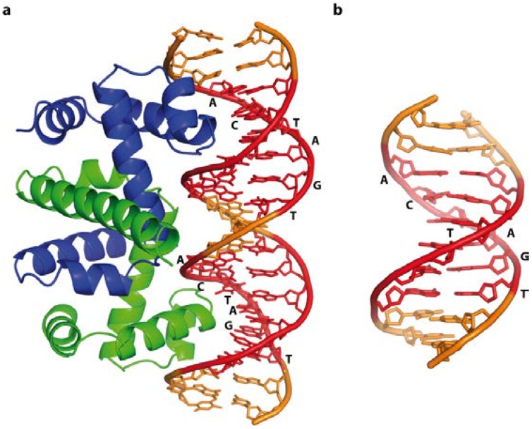 Figure 9