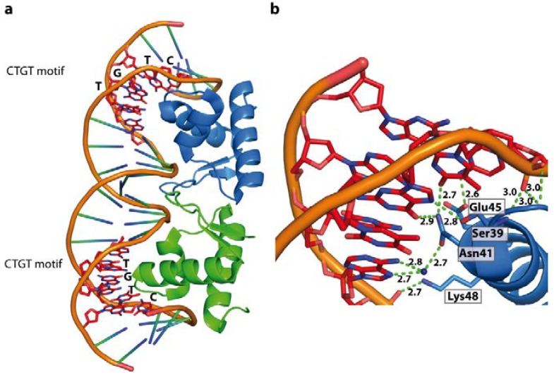 Figure 10