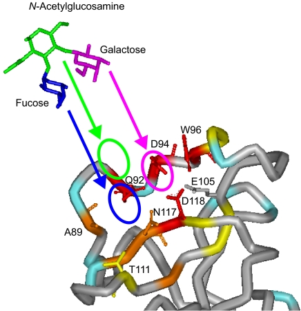 FIGURE 7.