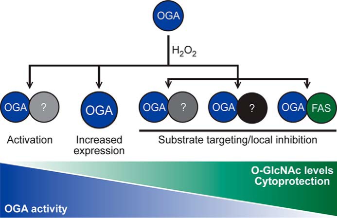 Figure 10.