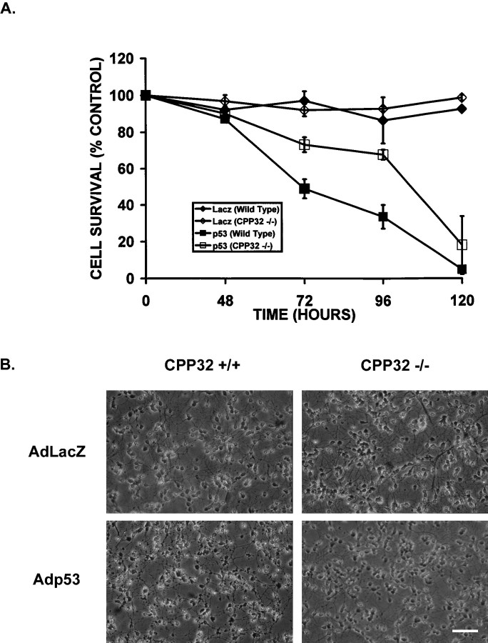 Fig. 11.