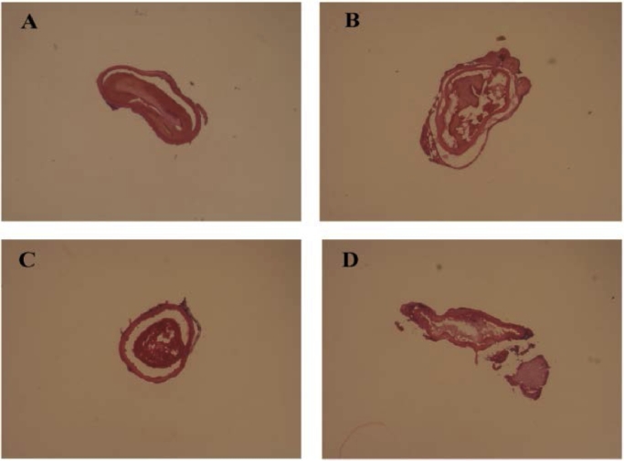 Fig 5