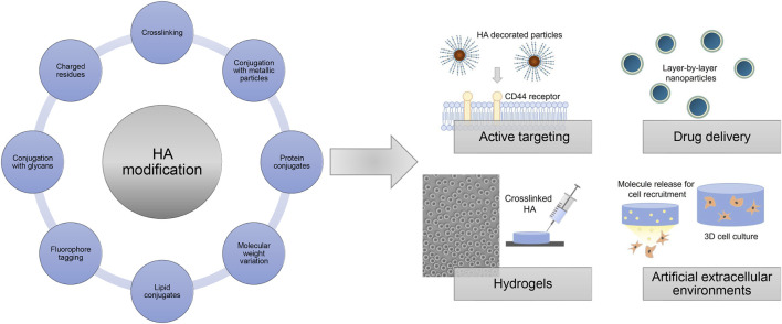 FIGURE 14