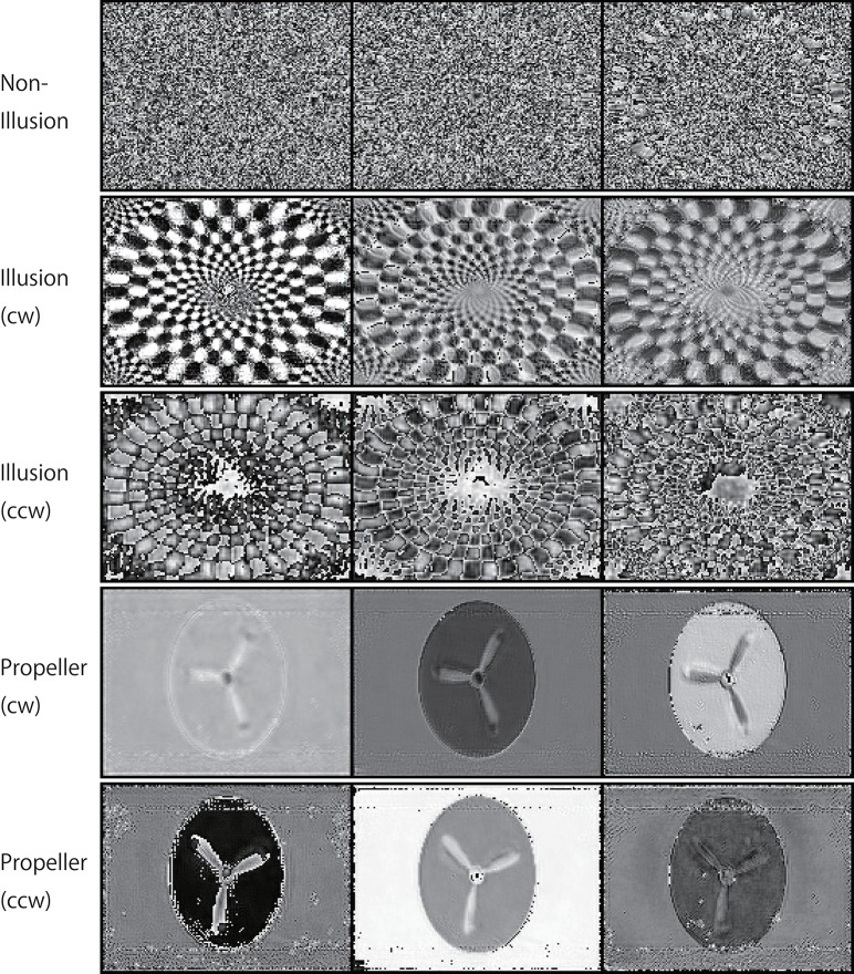 Figure 11