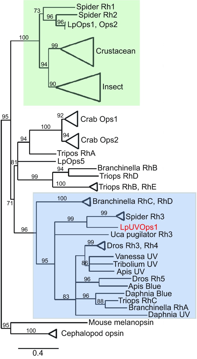 Fig. 3.