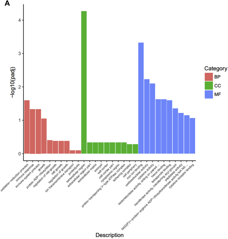 Figure 5