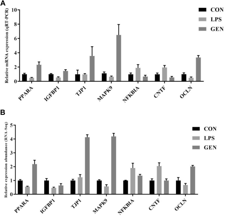 Figure 4