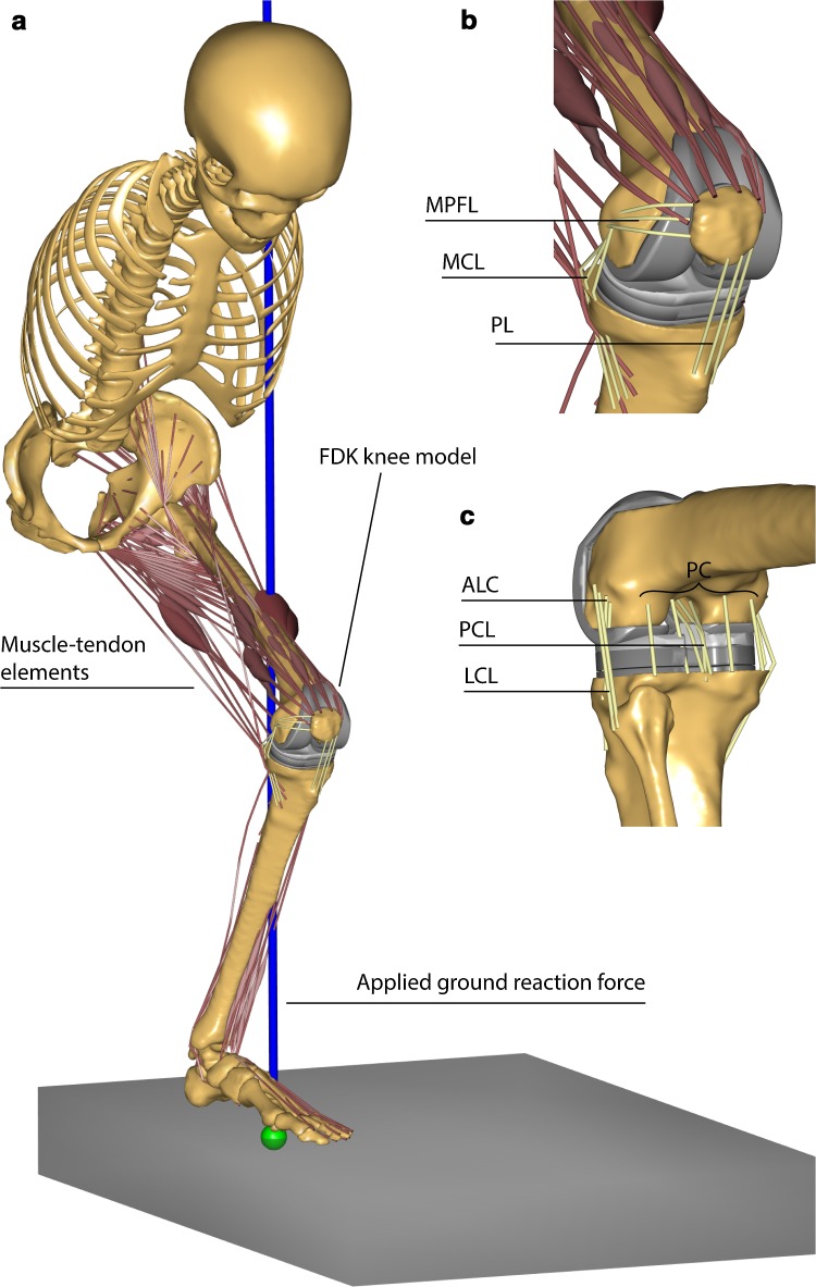 Fig. 1