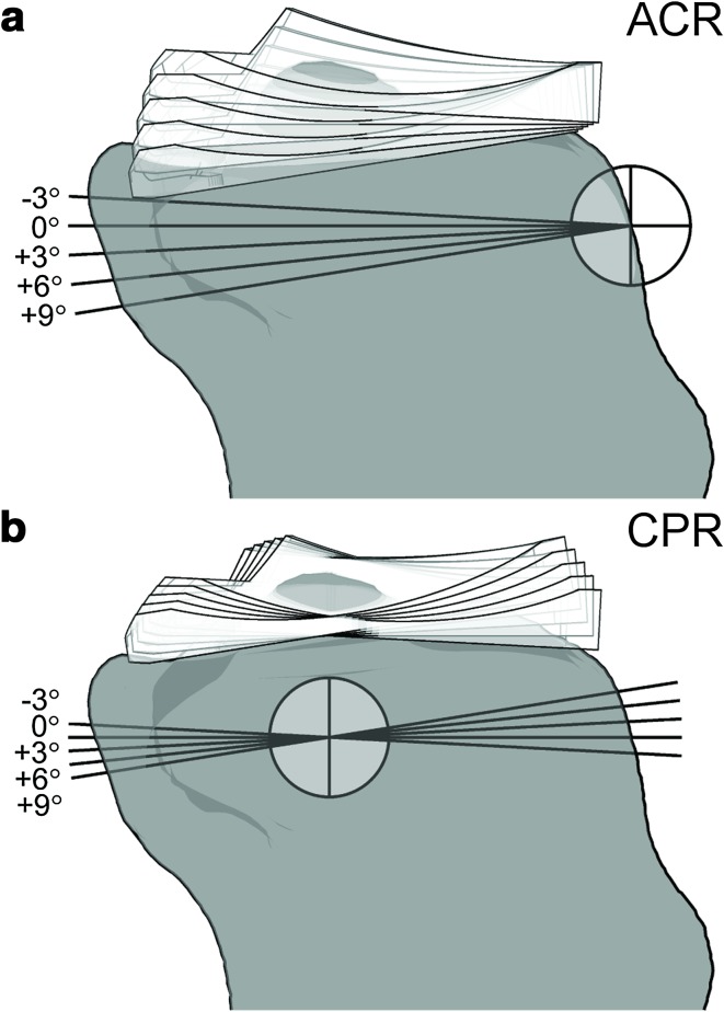 Fig. 2