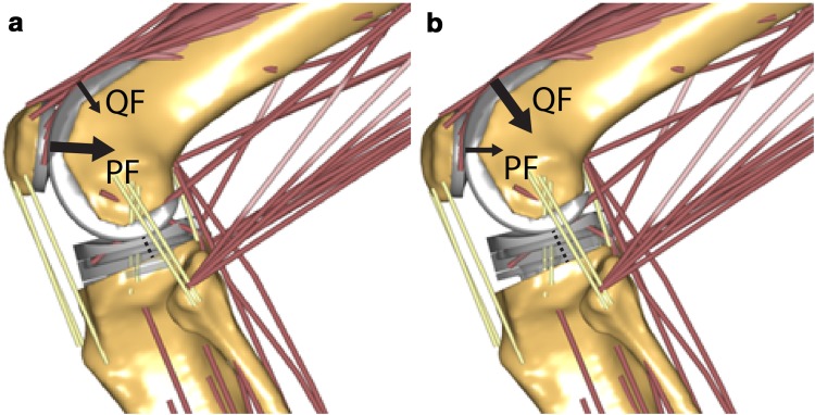 Fig. 7