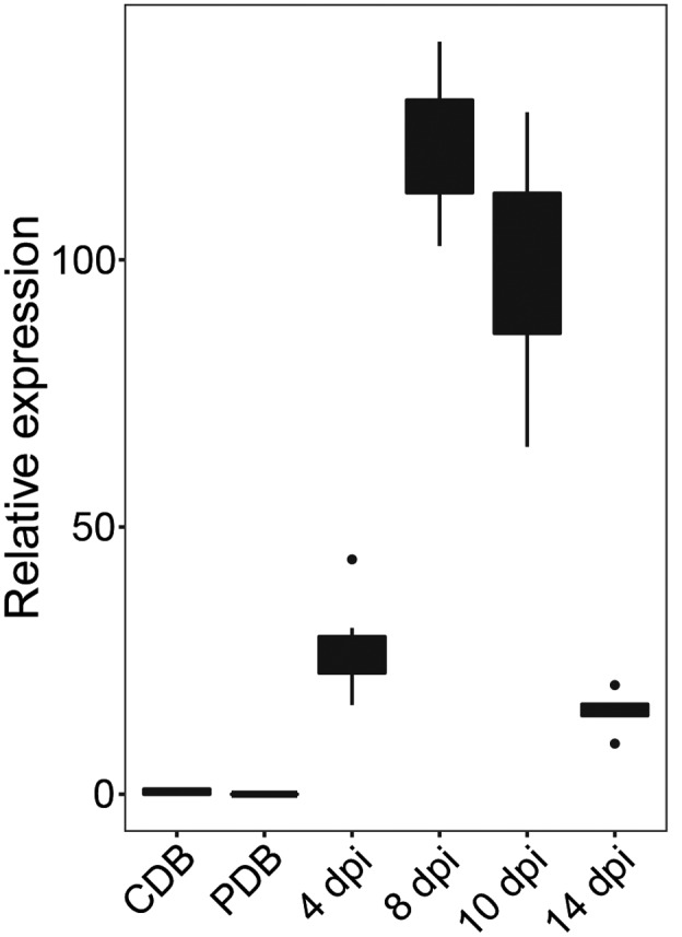 FIGURE 1