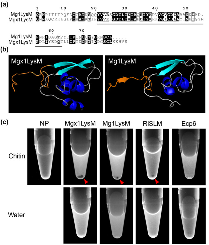 FIGURE 6