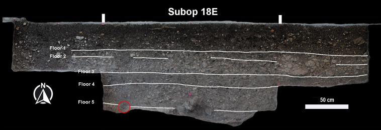 Fig 3