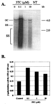 FIG. 5.