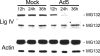 FIG. 4.