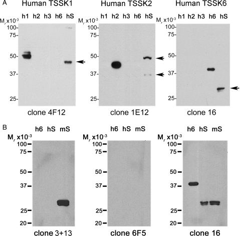 Figure 3