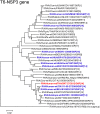 Fig 11