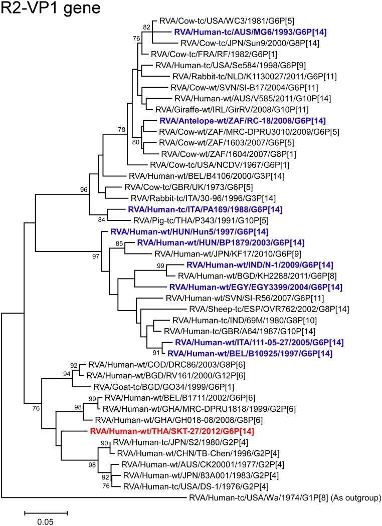 Fig 6