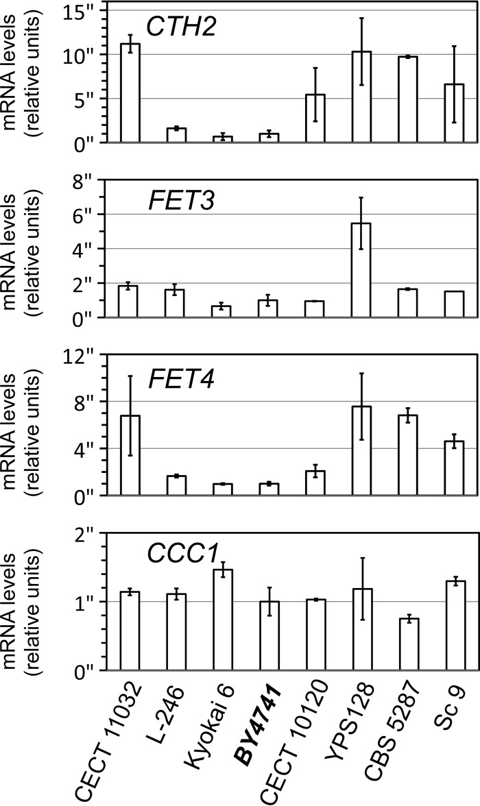 FIG 6