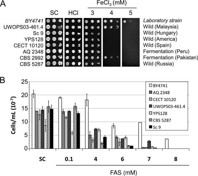 FIG 2