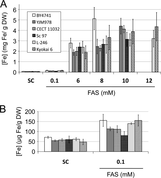 FIG 3