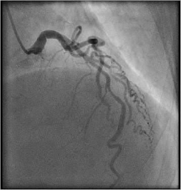 Fig. 7