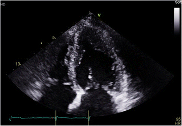 Fig. 5