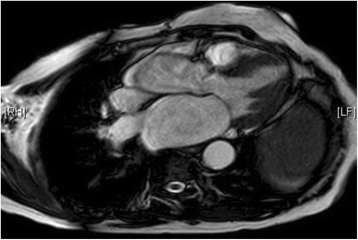 Fig. 9