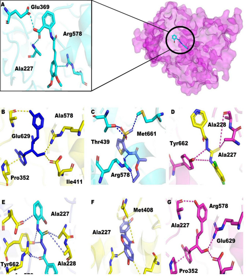 Fig. 2