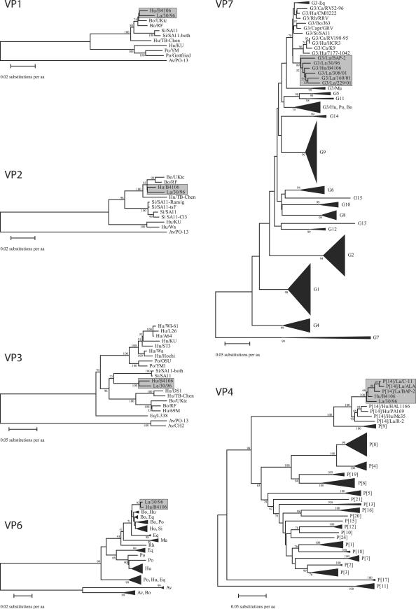 FIG. 2.