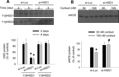 Figure 6