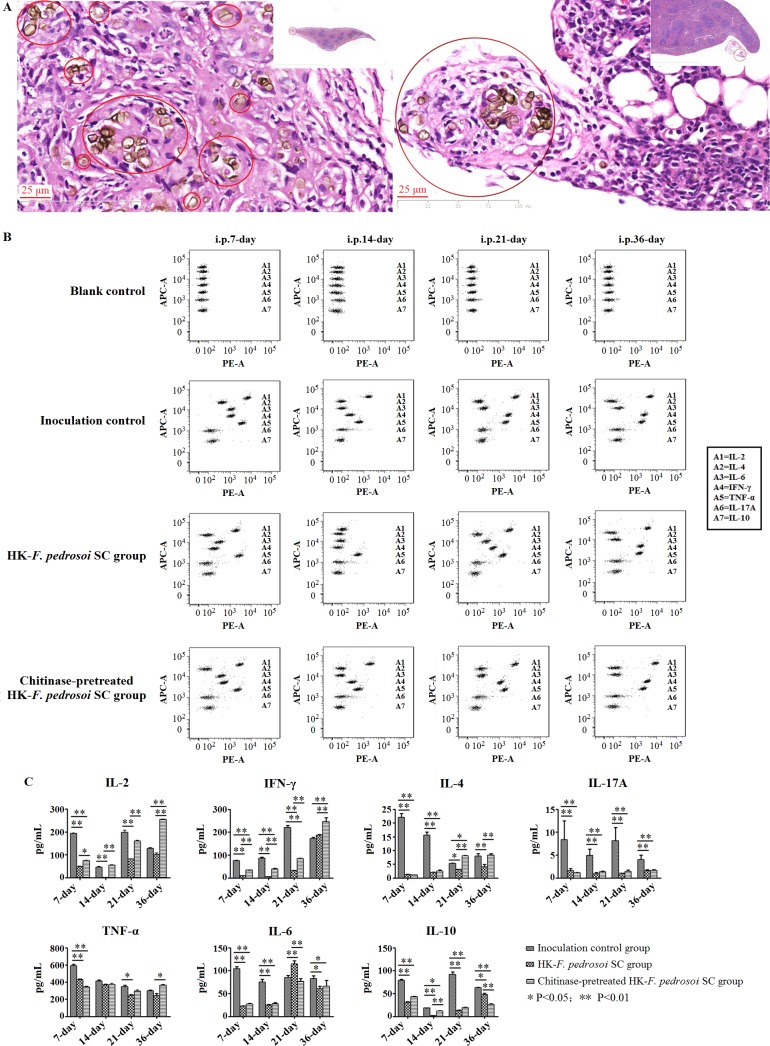 Fig 14