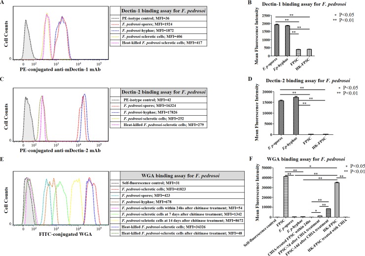 Fig 12