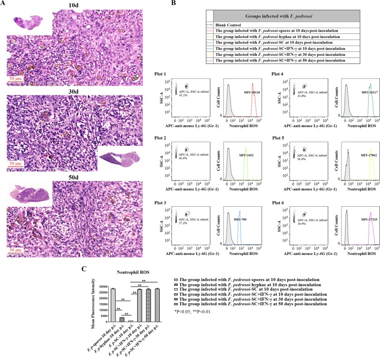 Fig 8