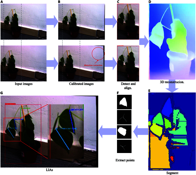 Fig. 4.