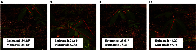 Fig. 7.