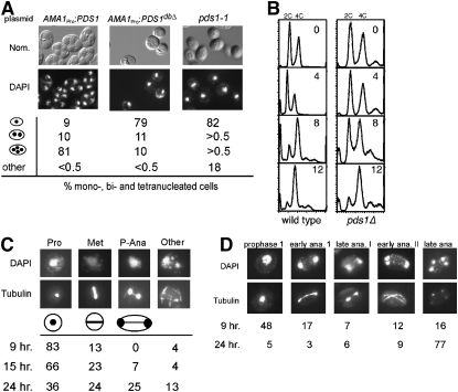 Figure 1.—