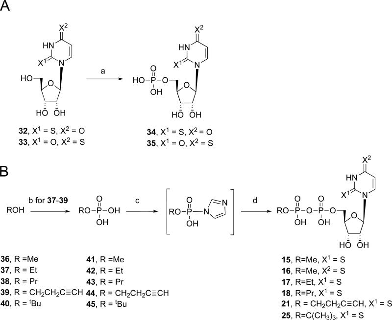 Scheme 2