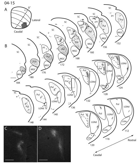 Figure 8