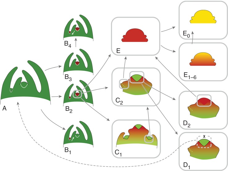 Fig. 4.